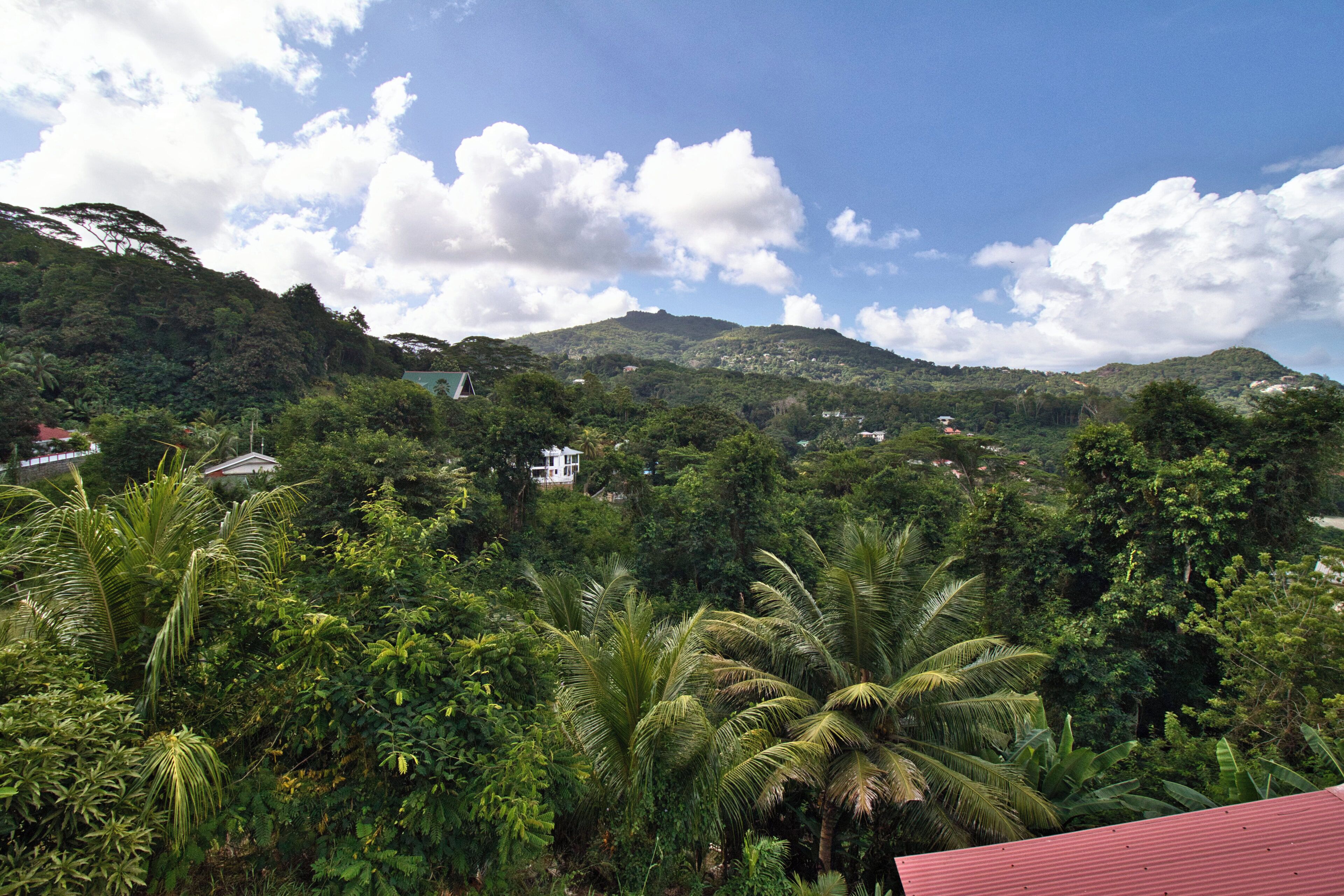 Paisagem verde exuberante com vegetação densa e alguns edifícios ao fundo.