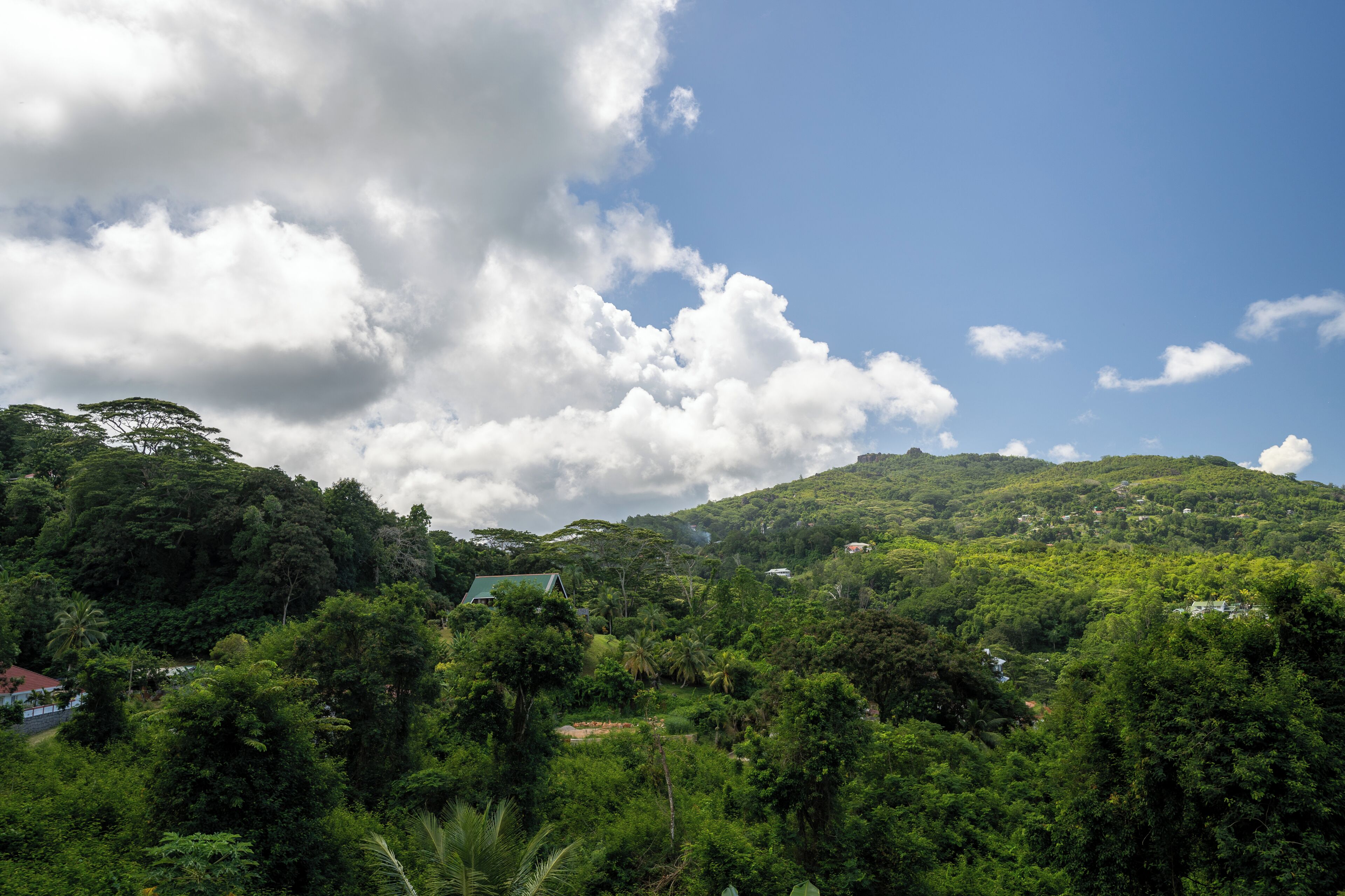 Un paisaje exuberante y verde con una colina y casas dispersas.