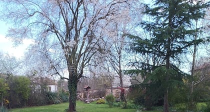 Tranquil 3-bedroom house with amazing garden in charming Malko Tranovo