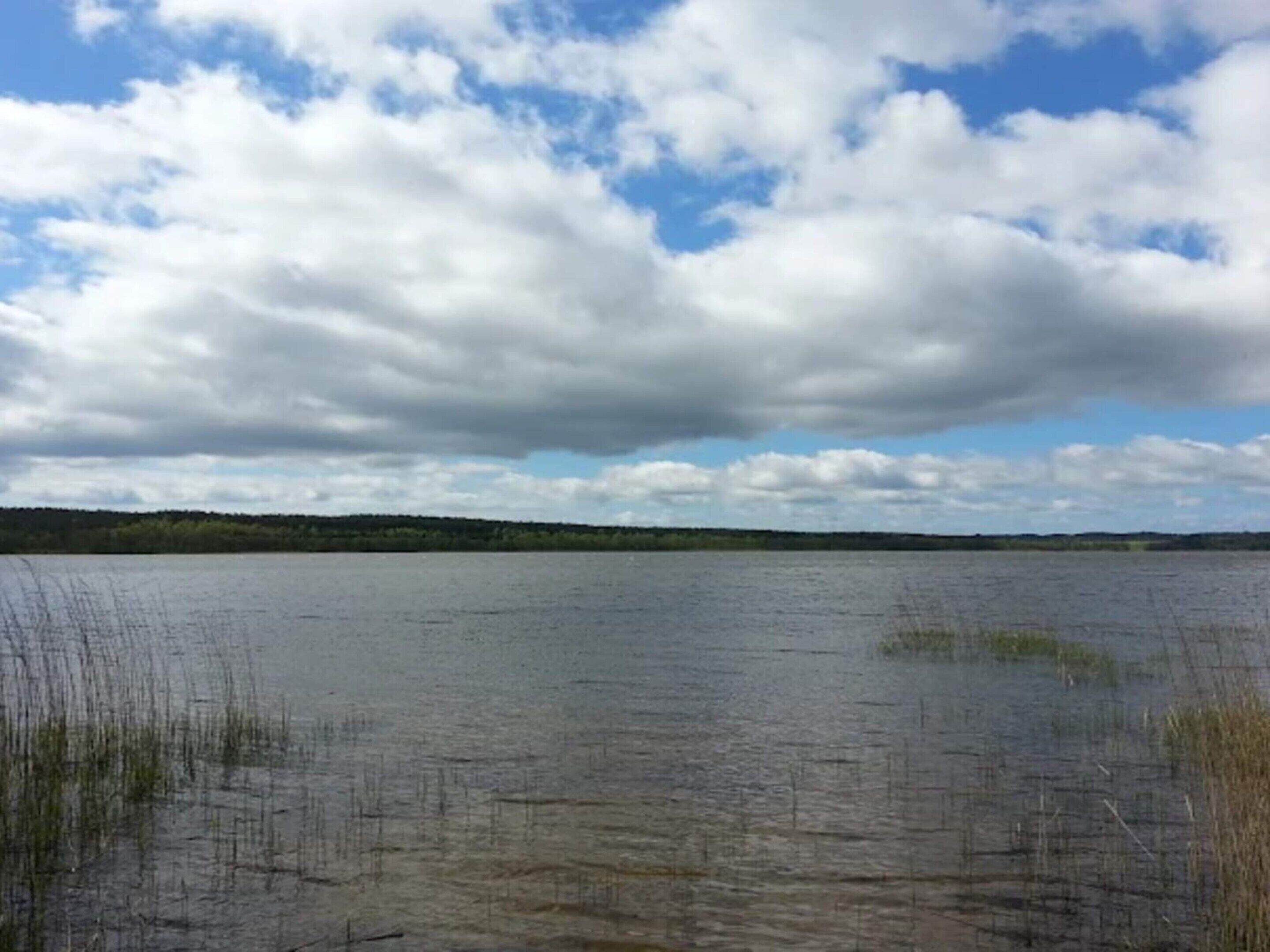 A calm lake with overcast skies and distant land.