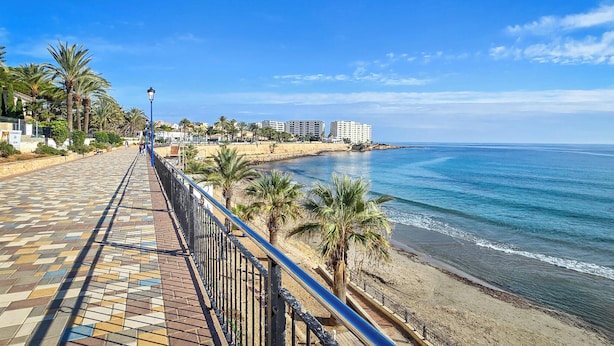 A coastal walkway with a tiled path, palm trees, and a beach. - Brisa Azul 2-bedroom apartment in punta prima, pool, gym, jacuzzi (Torrevieja)