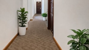 Un pasillo con piso alfombrado, paredes blancas y puertas de madera. Hay plantas en macetas a ambos lados del pasillo.