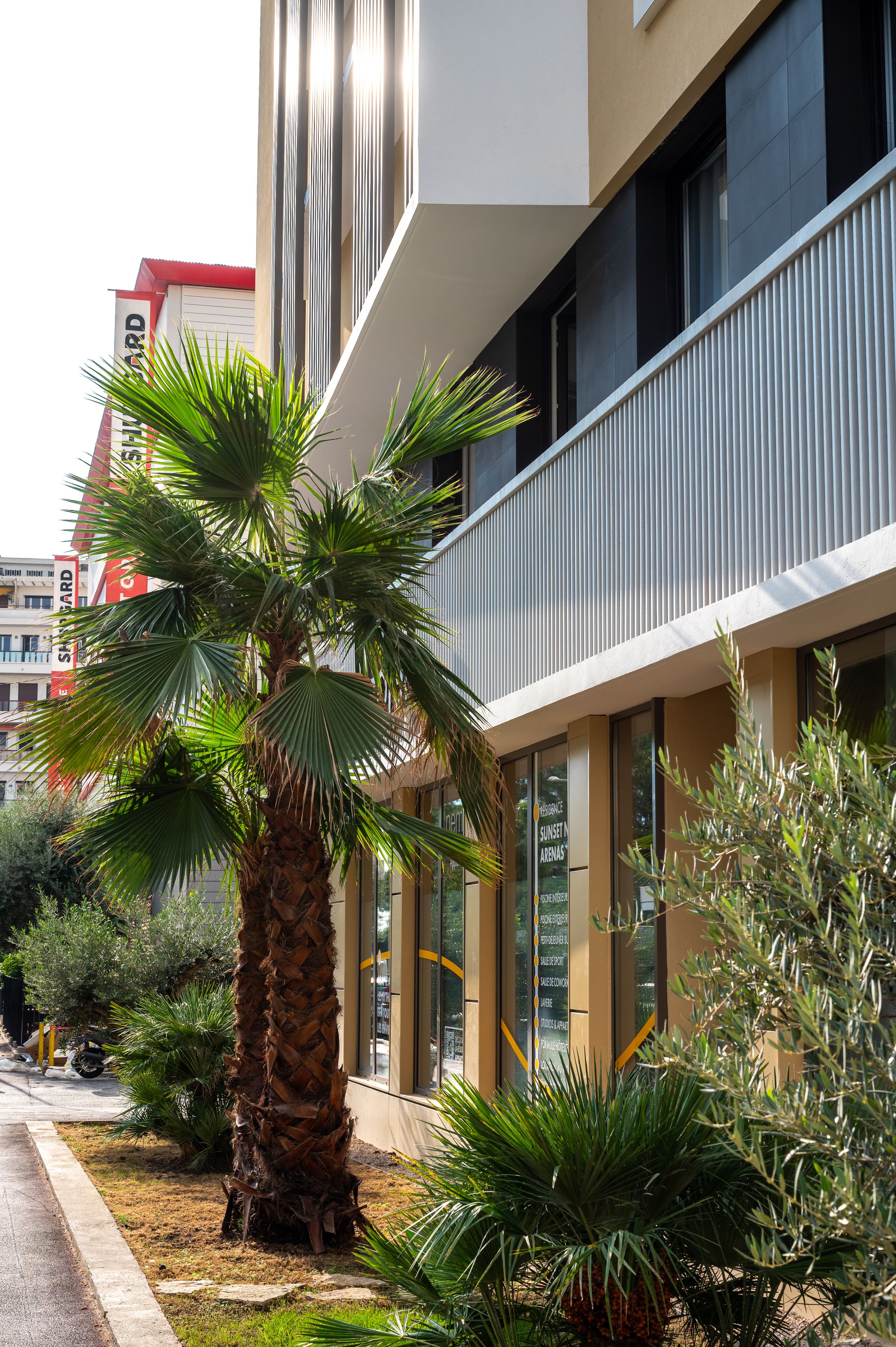 Un bâtiment moderne, avec un palmier au premier plan, un balcon doté d’un revêtement vertical et une enseigne indiquant « Sunset Arenas ».