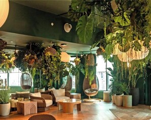 Une pièce avec un mur vert, des plantes suspendues, des meubles en osier et un fauteuil suspendu.