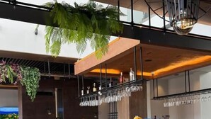 Un espace bar moderne avec un plancher en bois, un comptoir central, des plantes suspendues et un coin salon avec des chaises.