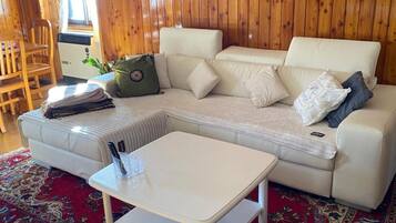 Fernseher, Kamin