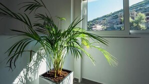 Una planta en test amb vista a un turó des d'una finestra.