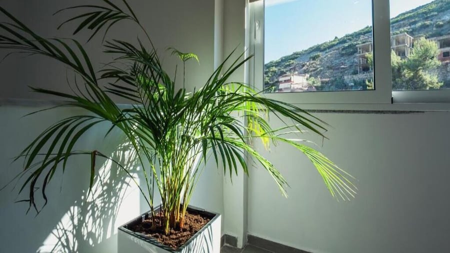 KRONOS Hotel Sarande