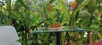 VILLA GARDEN LUCKY HOME