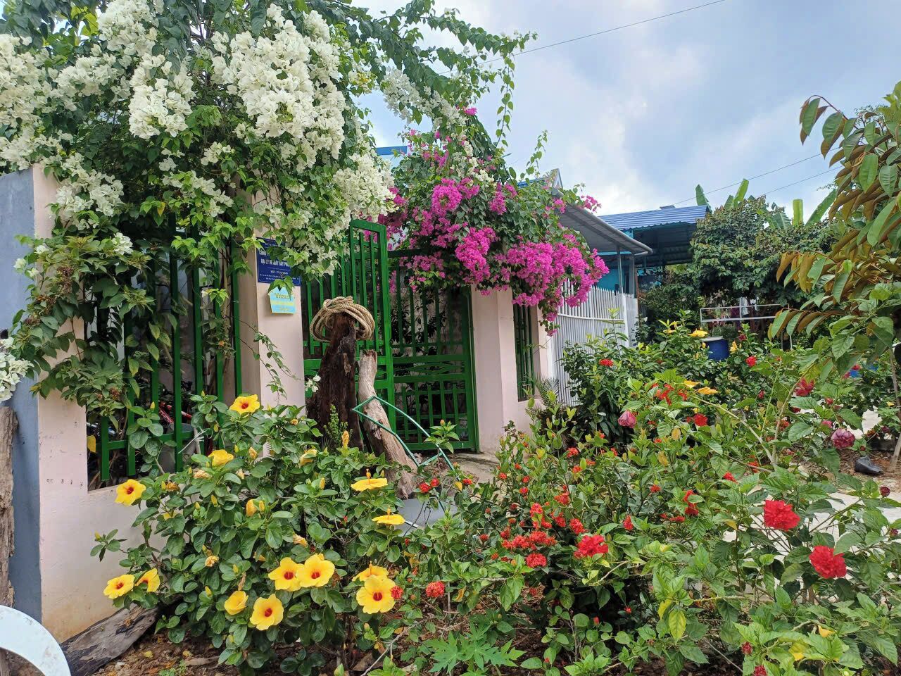 Jardines del alojamiento