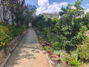 Property grounds - Bai Nian Sheng Shi  (Kunming)