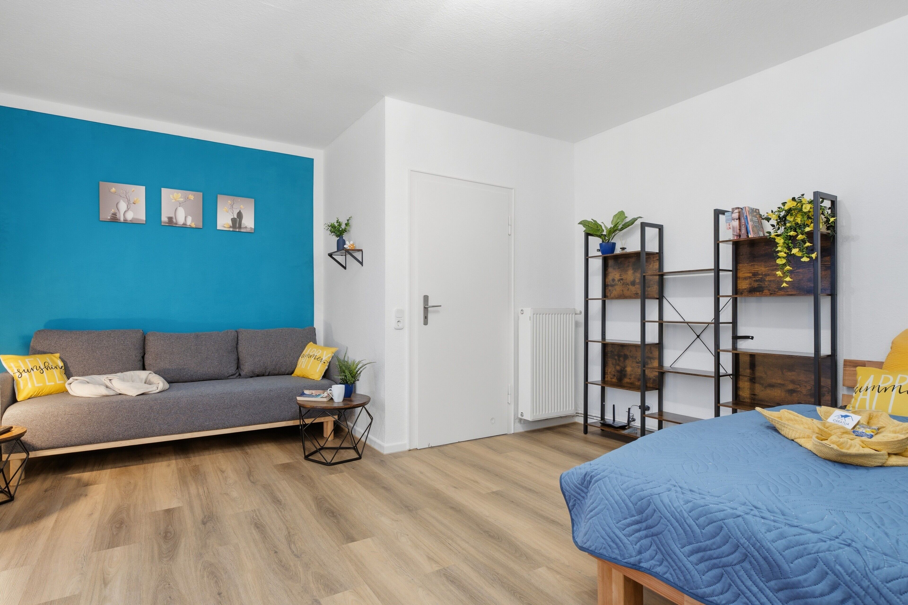 A modern room with a blue accent wall, a grey sofa, a blue bed, and a wooden floor.