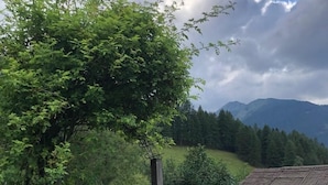 Un paysage rural avec une clôture en bois, un petit bâtiment et un arbre.