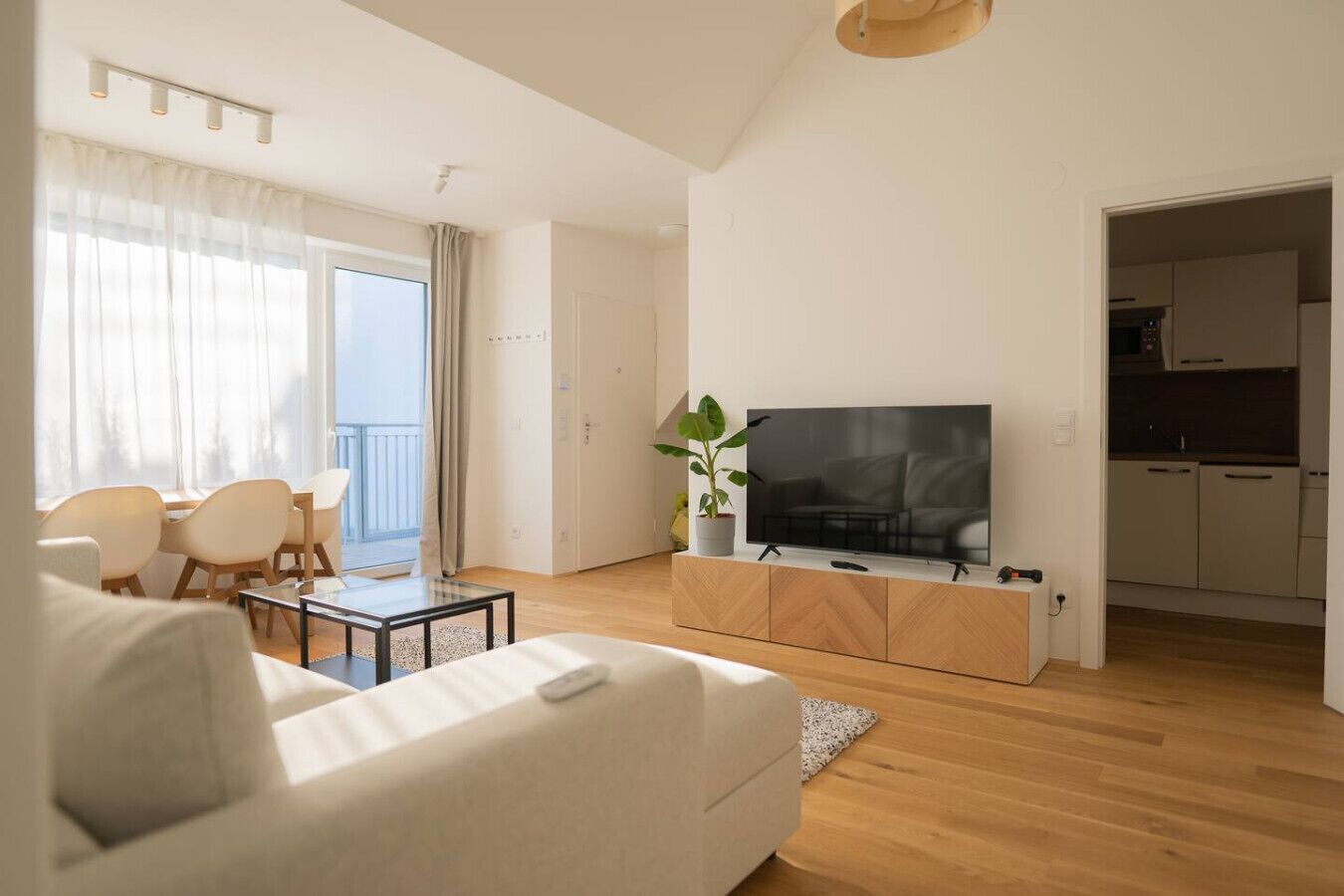 TV