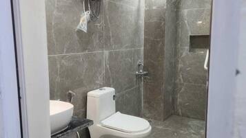 Shower, towels, soap, toilet paper