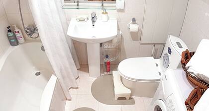 Welcoming 1-bedroom apartment in vibrant Ulaanbaatar center