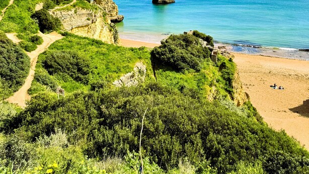 Eine Küstenlandschaft mit blauem Himmel, einem Felsen und einem Sandstrand.