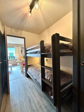 WiFi - Entire Apartment: Studio in Samoëns, France (Samoëns)