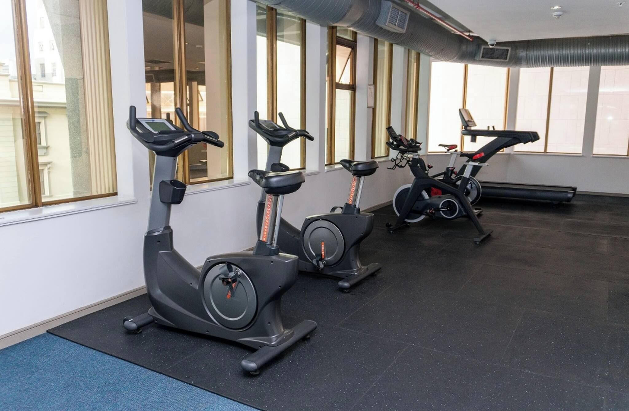 A gym with stationary bikes and a treadmill, large windows, and a blue carpet.