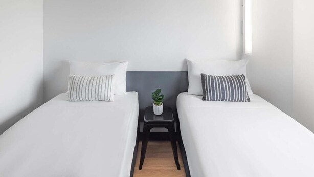 Habitación de hotel con dos camas, una mesita con una planta y una lámpara de noche.