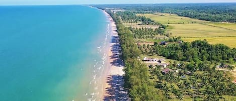 ชายหาด