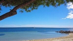 Une plage à l’eau claire, un voilier à l’horizon et un arbre sur la gauche.