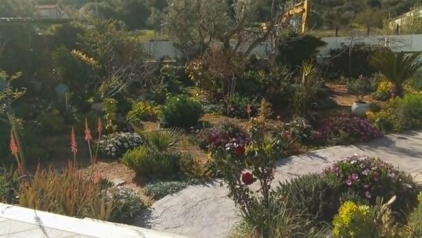 A landscaped garden with various plants and a construction vehicle in the background. - Simple Stay Vari s House II (Kropia)