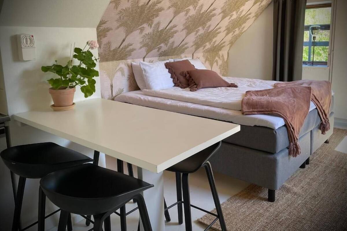 Une chambre à coucher avec un lit, un bureau, deux chaises, une plante en pot et une fenêtre avec des rideaux.