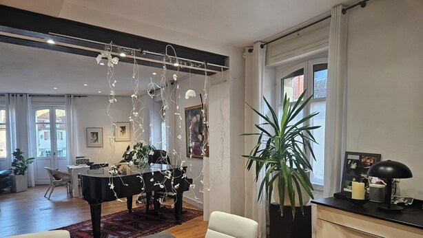 Una sala de estar moderna con un piano, una mesa de comedor y una gran planta en maceta.