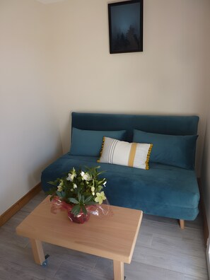Fernseher