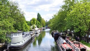 Een smalle gracht met aan beide zijden afgemeerde boten, omringd door weelderige groene bomen.