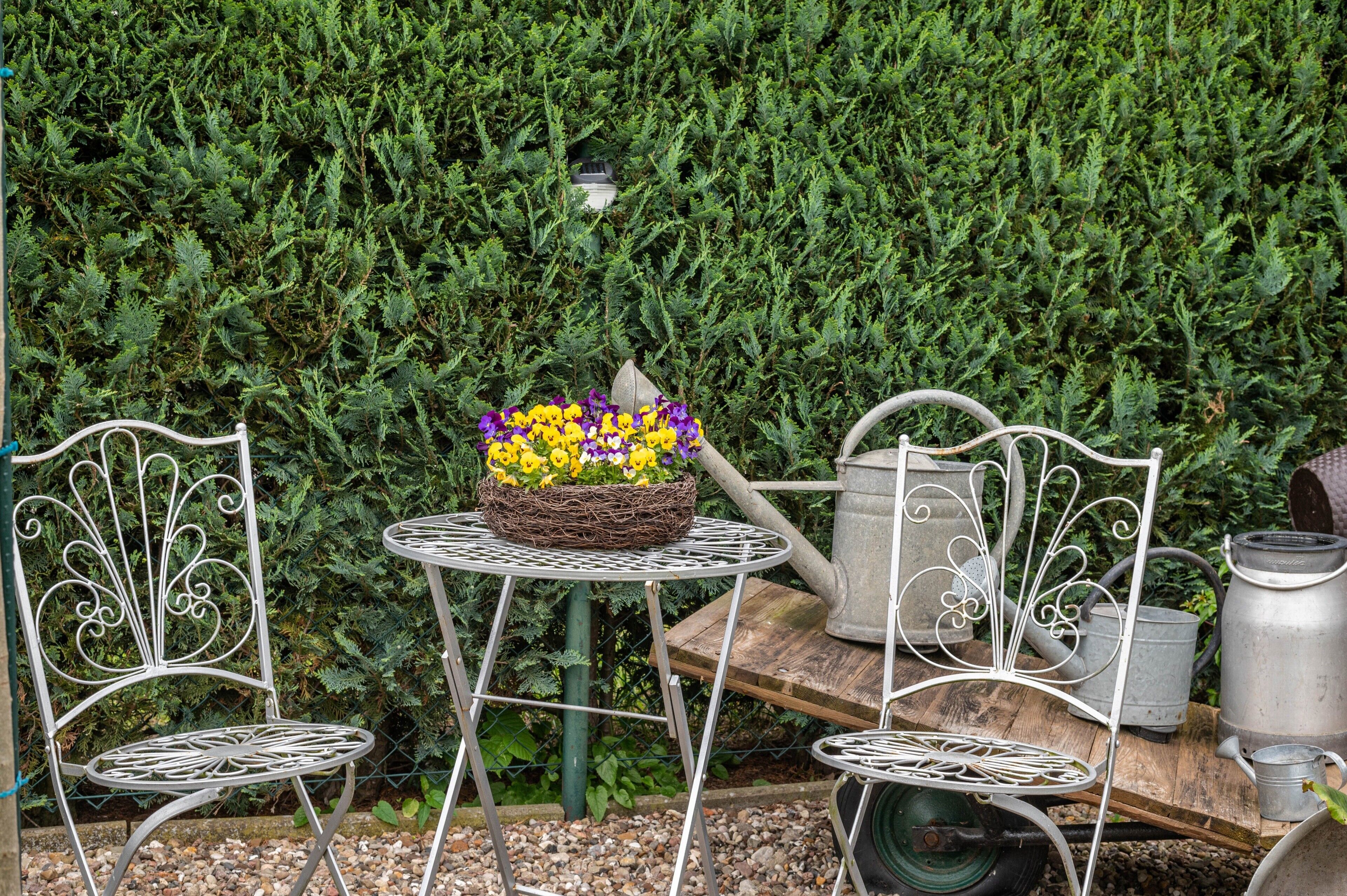Ein Metalltisch mit einer Blumenkorb, zwei Metallstühle und Gartenwerkzeug vor einer Hecke.