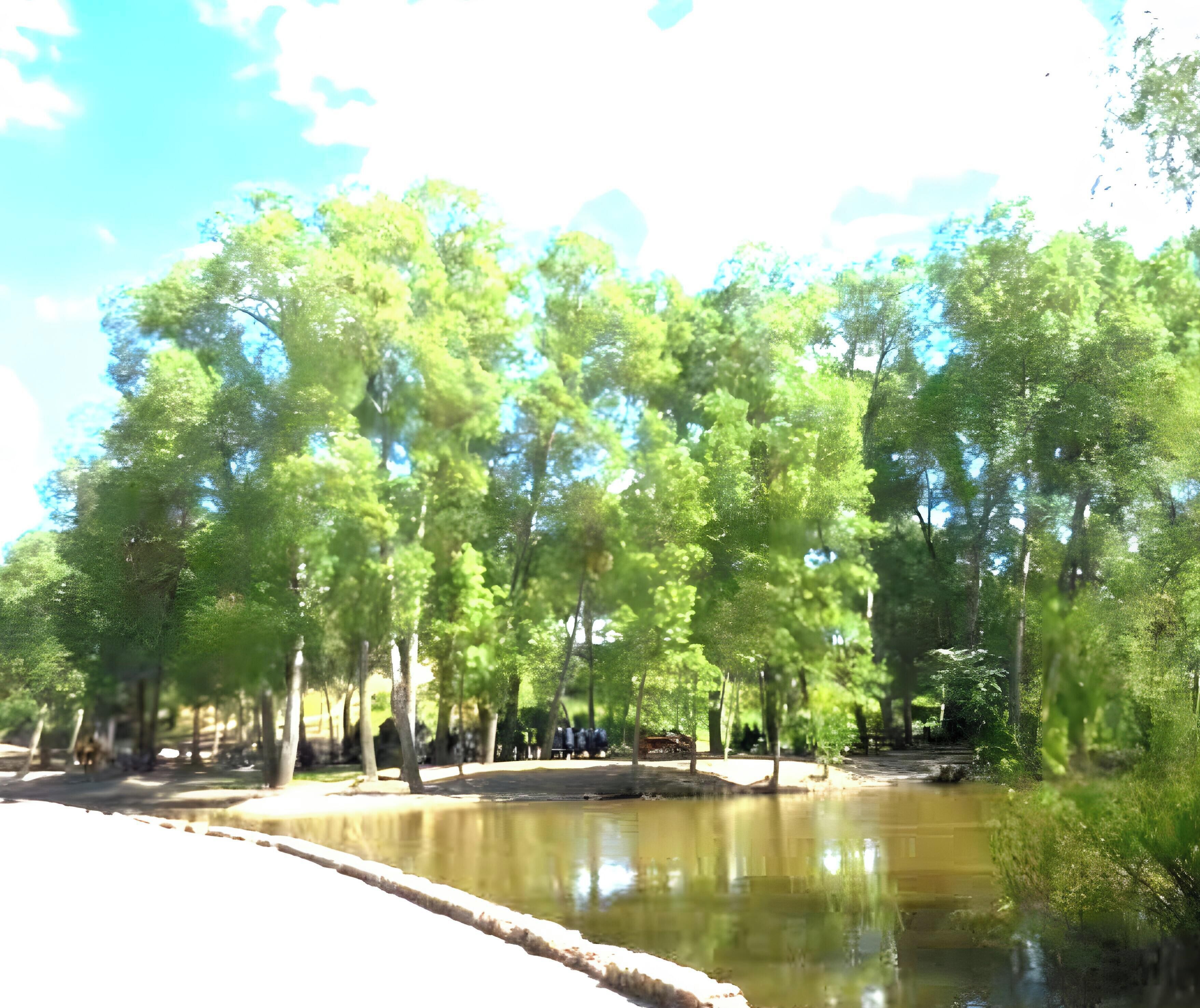 En park med en damm, träd och en promenadstig.