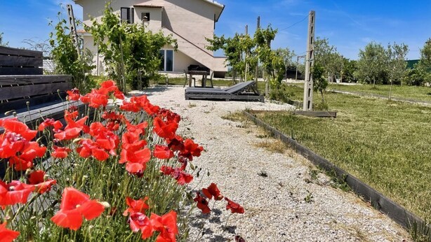 A modern building with a patio area, surrounded by a gravel path and red flowers. - PP11 - Potenza Picena, new three-room apartment with pool and air conditioning (Potenza Picena)