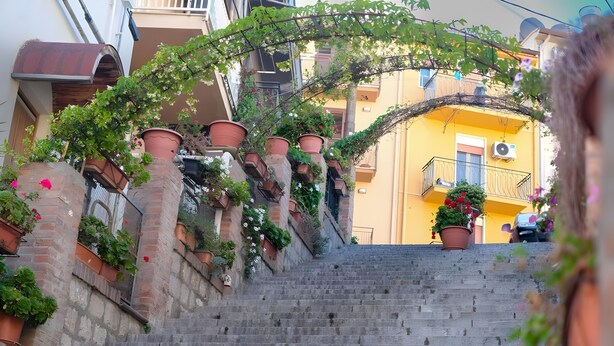 Uma escadaria com vasos de terracota e plantas trepadeiras, levando a um edifício amarelo com varandas.