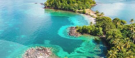 在海灘附近、躺椅