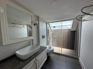 Un baño moderno con un espejo grande, un lavabo sobre encimera, ducha con puerta de vidrio y un tragaluz.