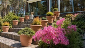 A house with a large glass window, a stone staircase, and various potted plants. - Club Paradise Bay Iskar Lake (Sofia)