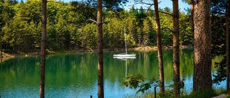 Un lago tranquillo circondato da alberi alti, una piccola barca sull'acqua e un'area erbosa con una recinzione.