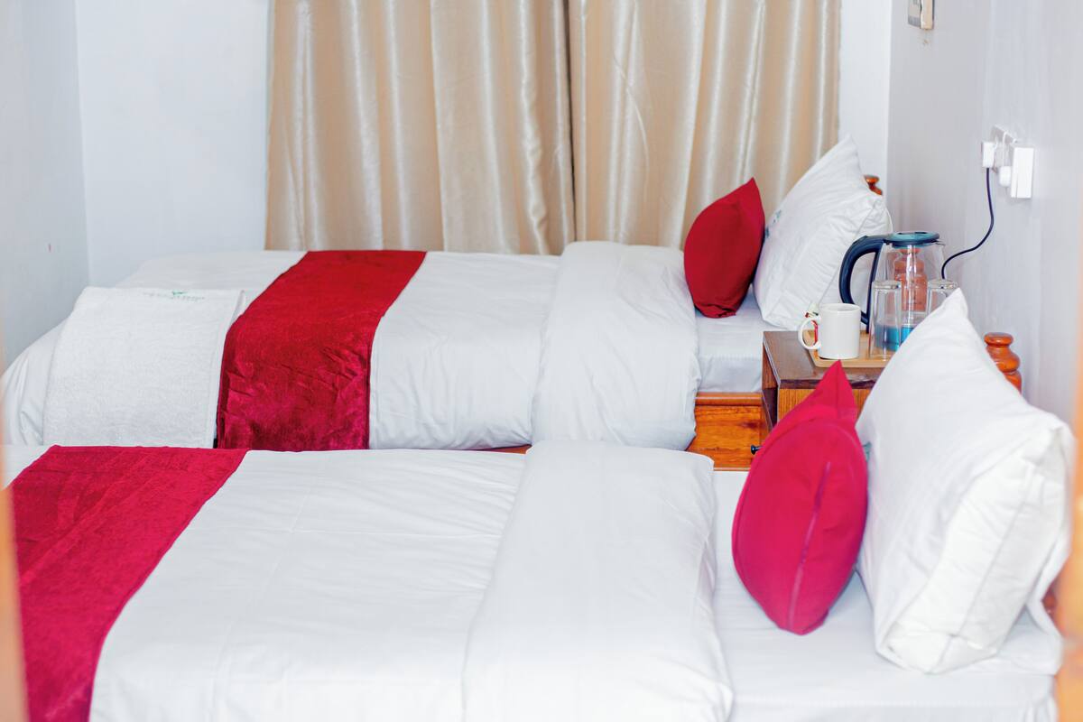 Classic Double or Twin Room, Balcony, Mountain View | Desk, laptop workspace, free WiFi