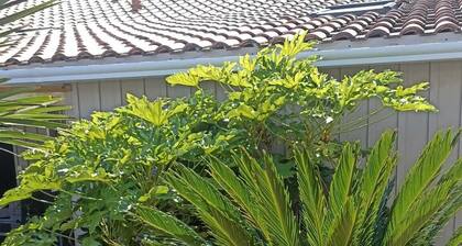 Cosy chalet close to Dune du Pyla, ocean beaches, Arcachon basin