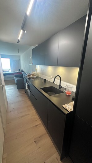 A modern kitchen with a black countertop, stainless steel sink, and a window providing natural light. - Bella-Lugano vacation apartment (Aldesago)