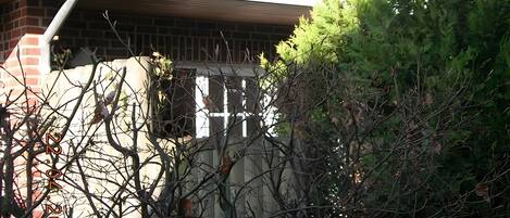 Detalle exterior