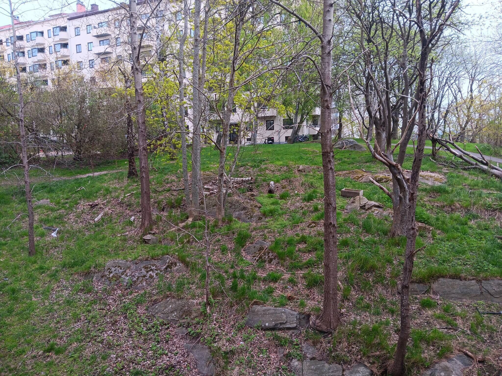 Shared Dormitory, 1 Bedroom | Property grounds