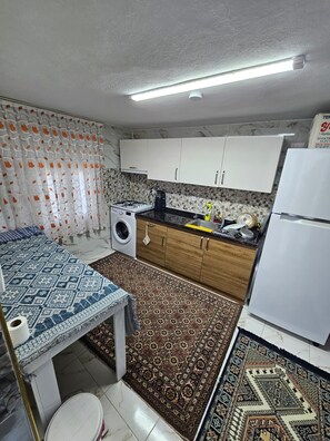 Une cuisine de taille réduite équipée d’un lave-linge, d’un réfrigérateur et d’un évier.