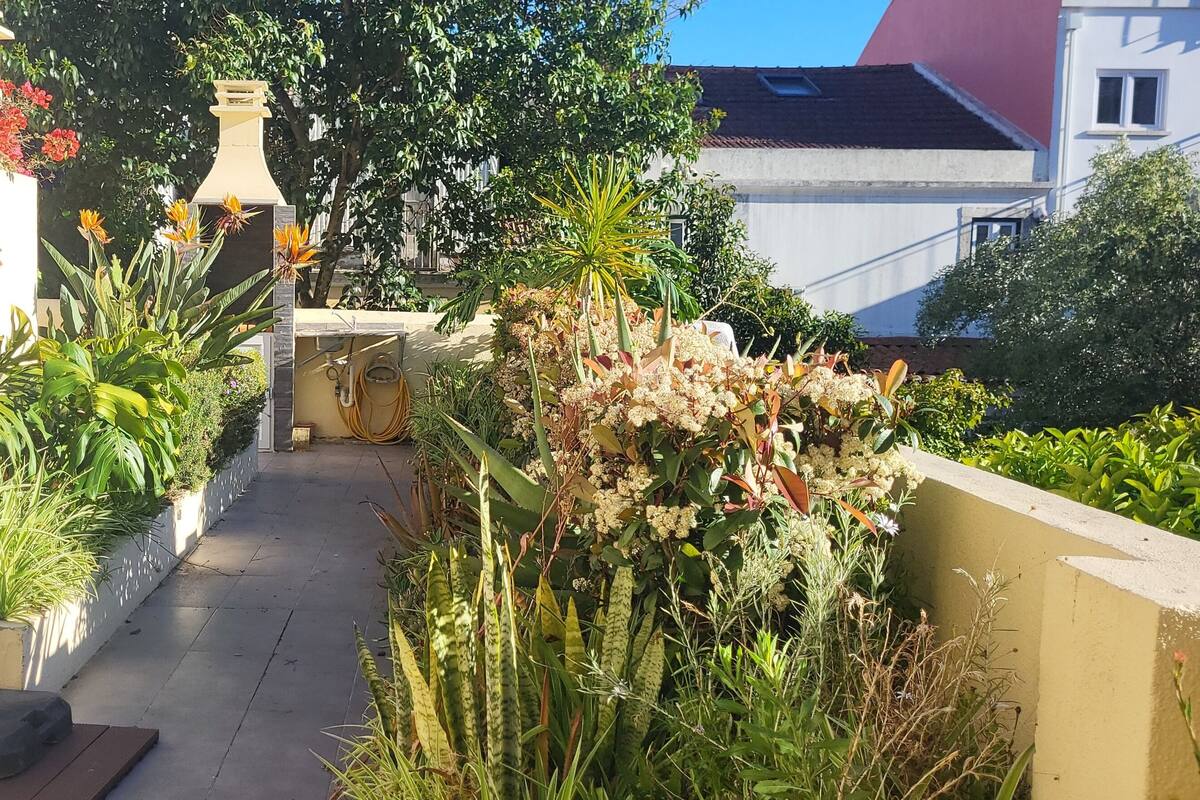 Un étroit couloir extérieur, bordé d’une clôture en bois, agrémenté de plantes en pot et d’un chemin menant à l’entrée d’un bâtiment.