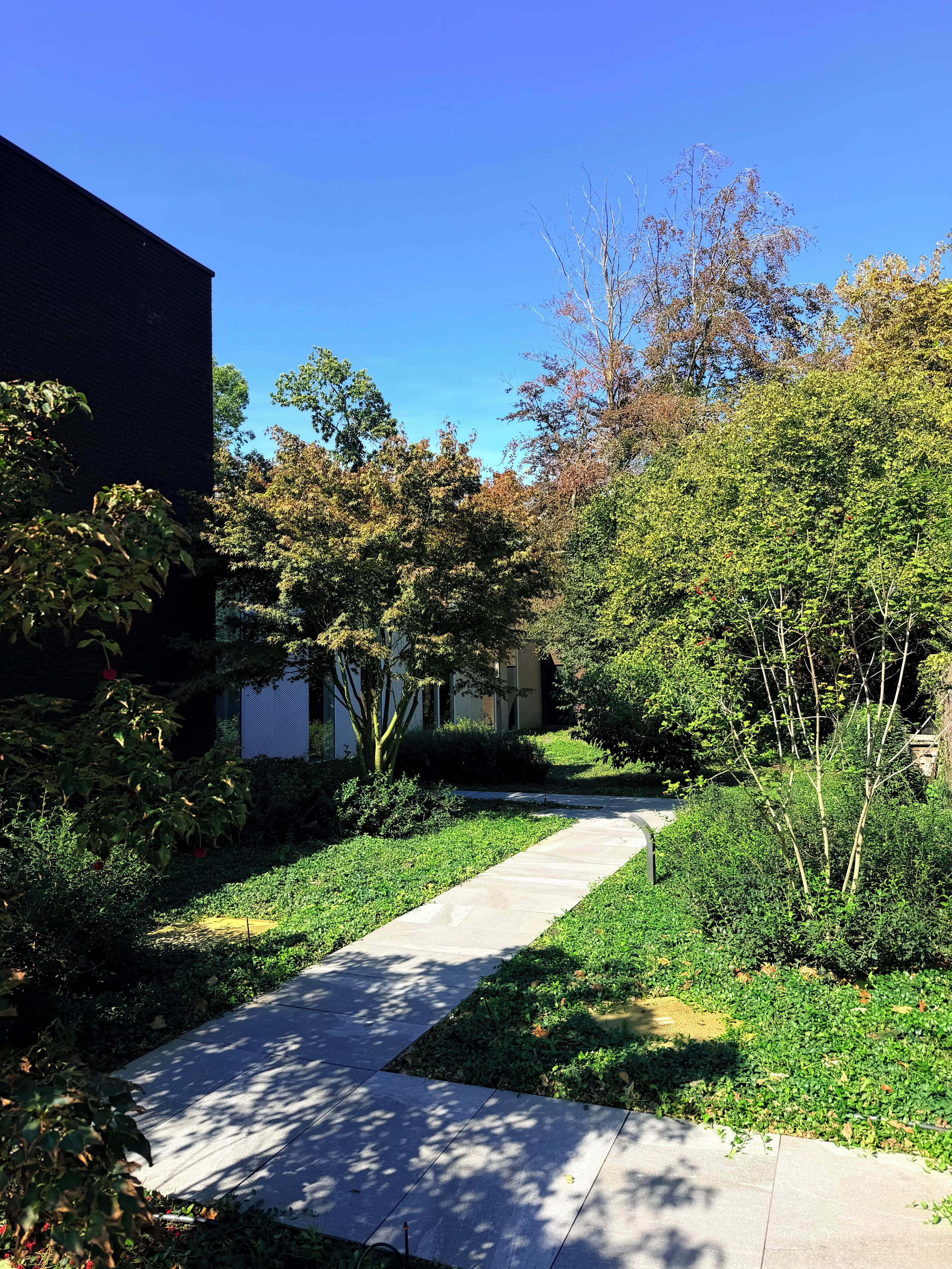 A pathway leading through a landscaped area with trees and shrubs, bordered by buildings.