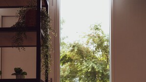An interior space with a wooden floor, a black console table, and a shelf with plants. - Huyze Fox (Bruges)