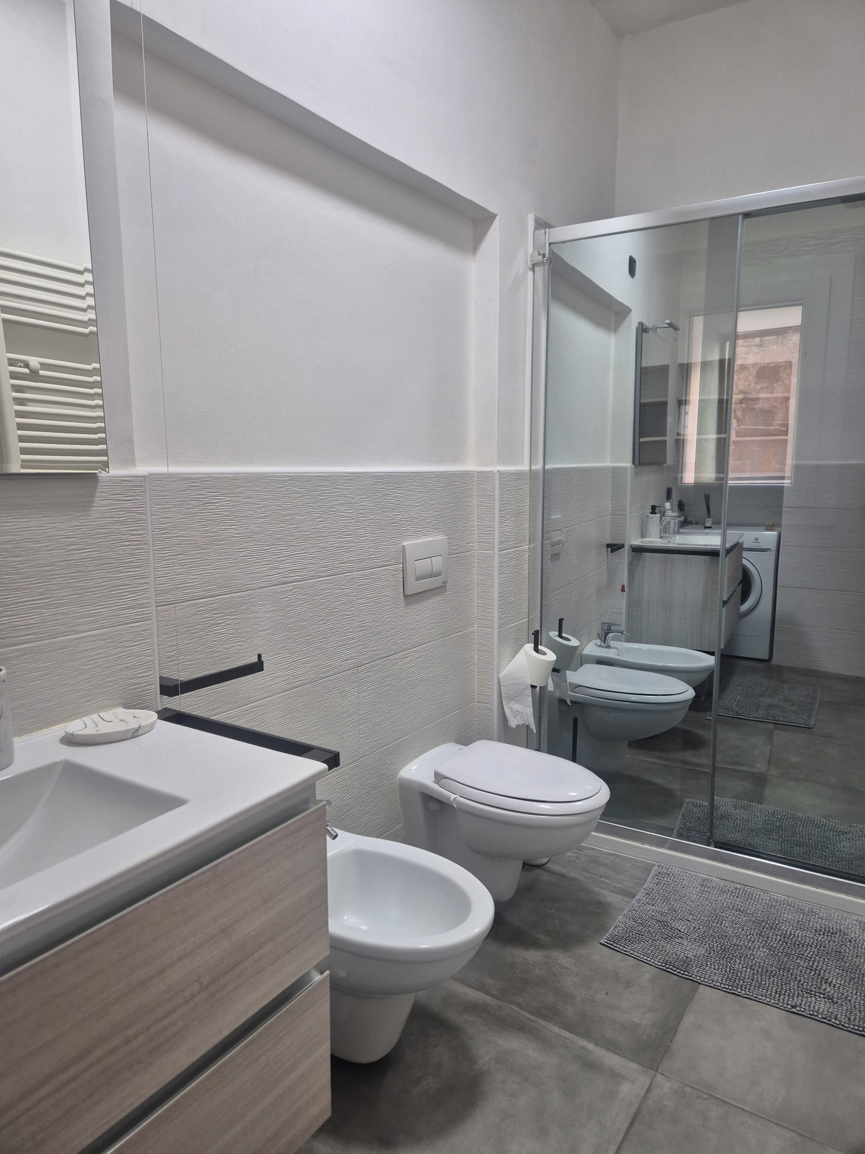 Shower, hair dryer, bidet, towels