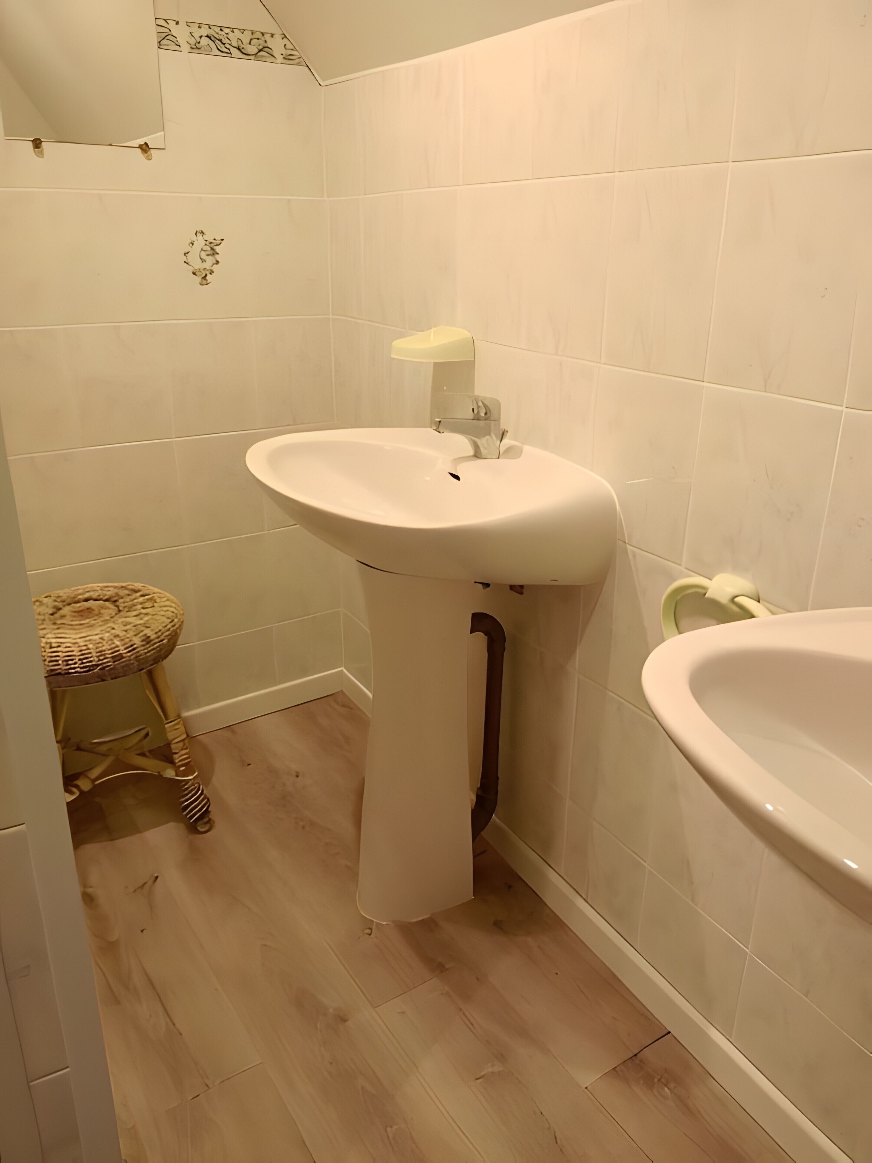 Shower, hair dryer
